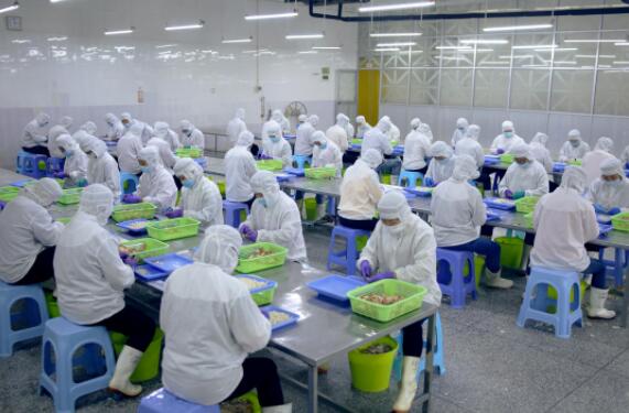 Production Process Flow Chart