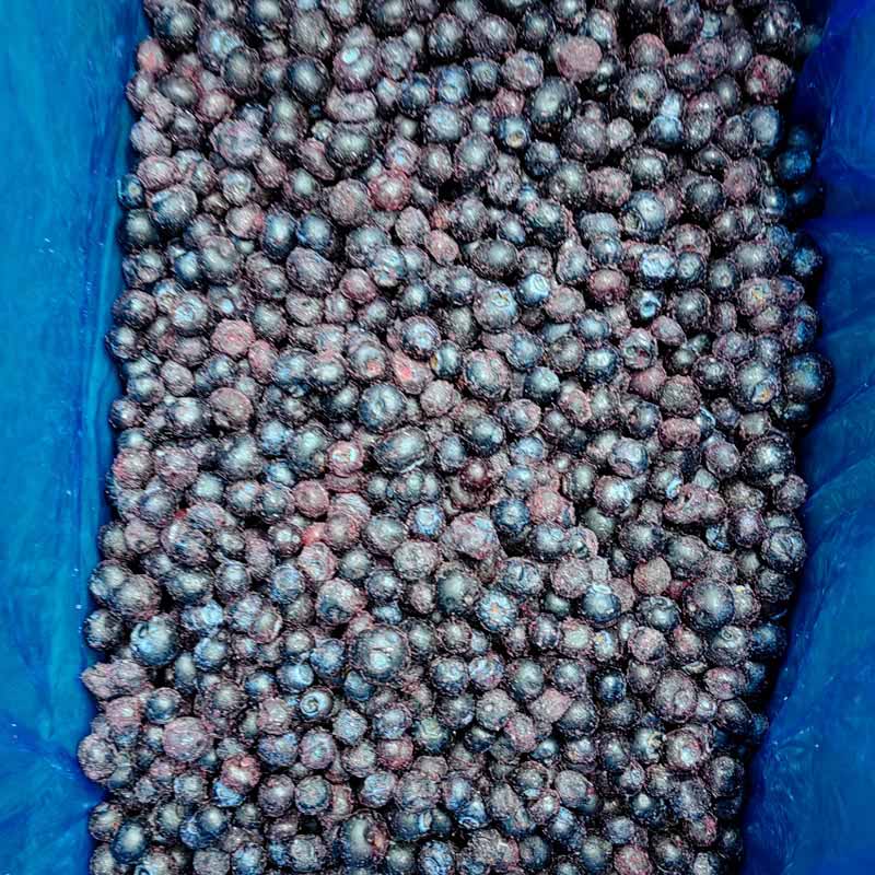 Myrtilles surgelées IQF - Yung Yong