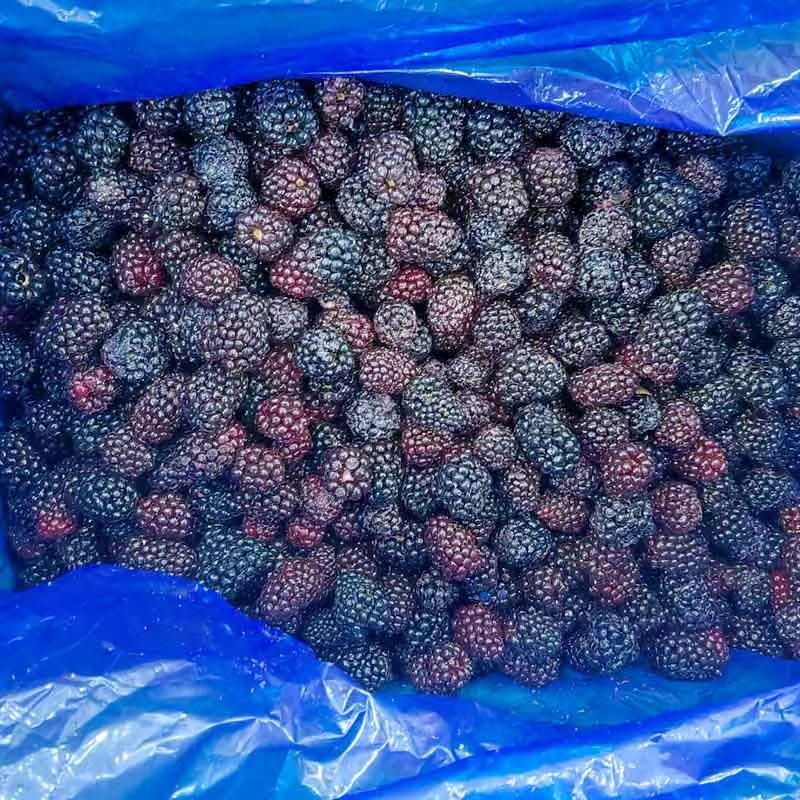 Mûres surgelées IQF - Yung Yong