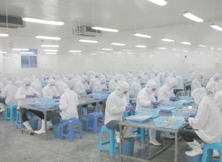 L'une de nos installations de transformation des produits de la mer – Longhai Oriland Seafood Co., Ltd.