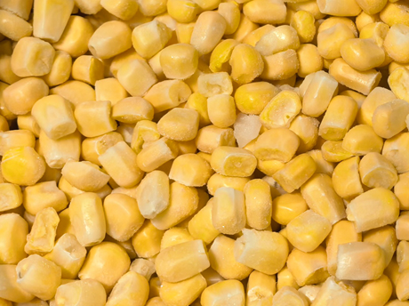 Mise à jour du marché – Maïs sucré congelé de la nouvelle récolte
