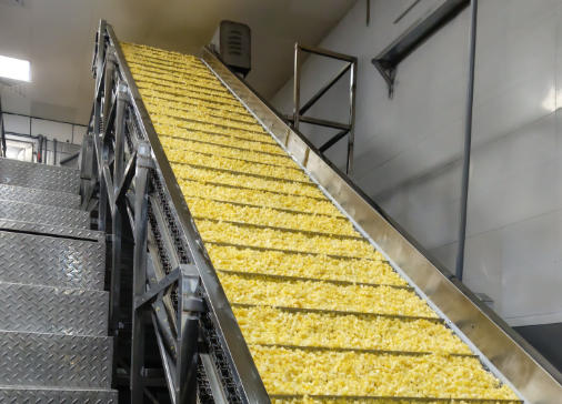 Frozen Pineapple Season Is Underway in China